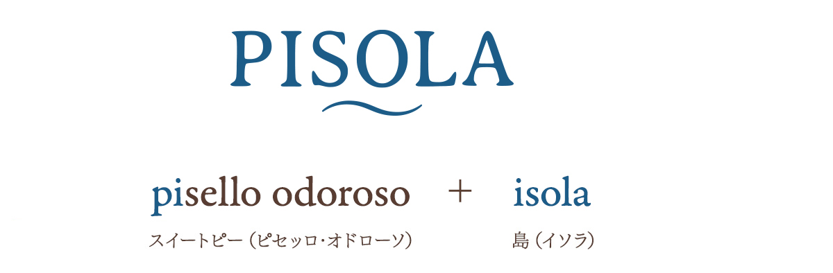 PISOLAロゴについて